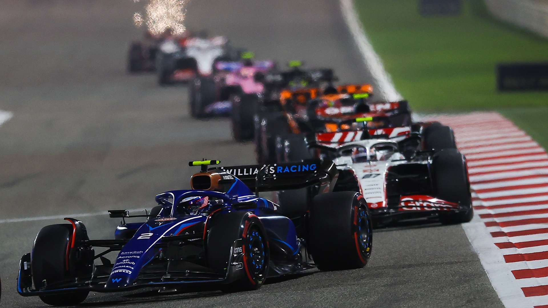 仅培养了大 仅培养了大