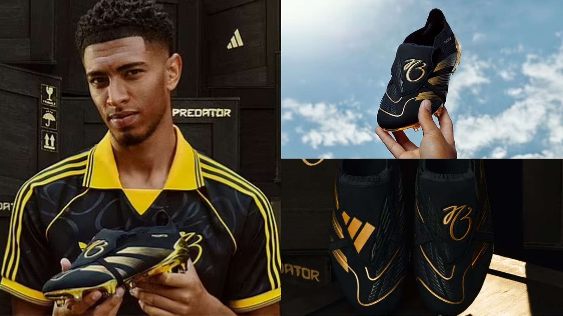 家的自豪感 家的自豪感