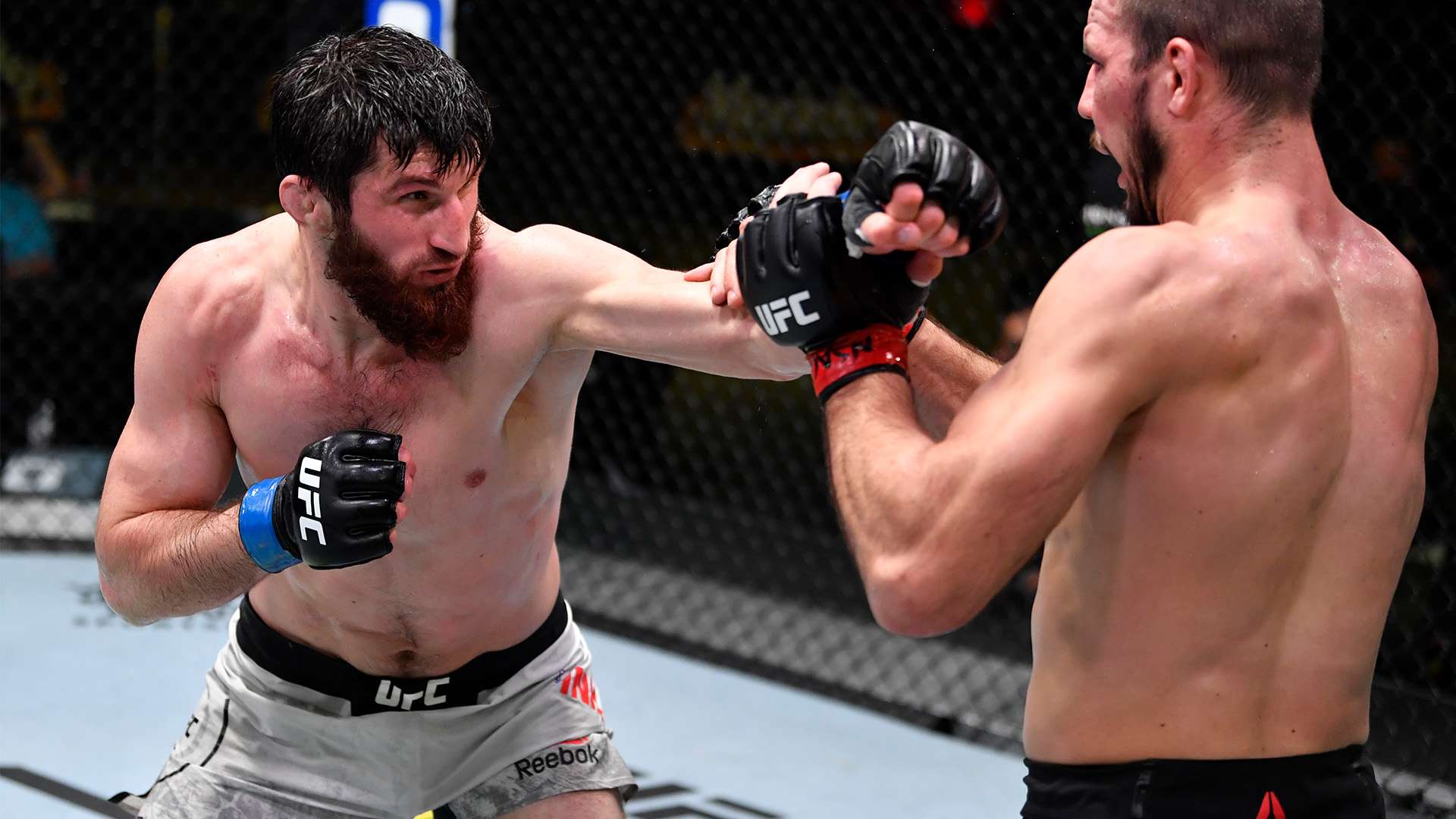 这样的配合 这样的配合